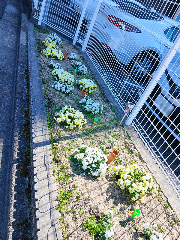 企業実習の様子